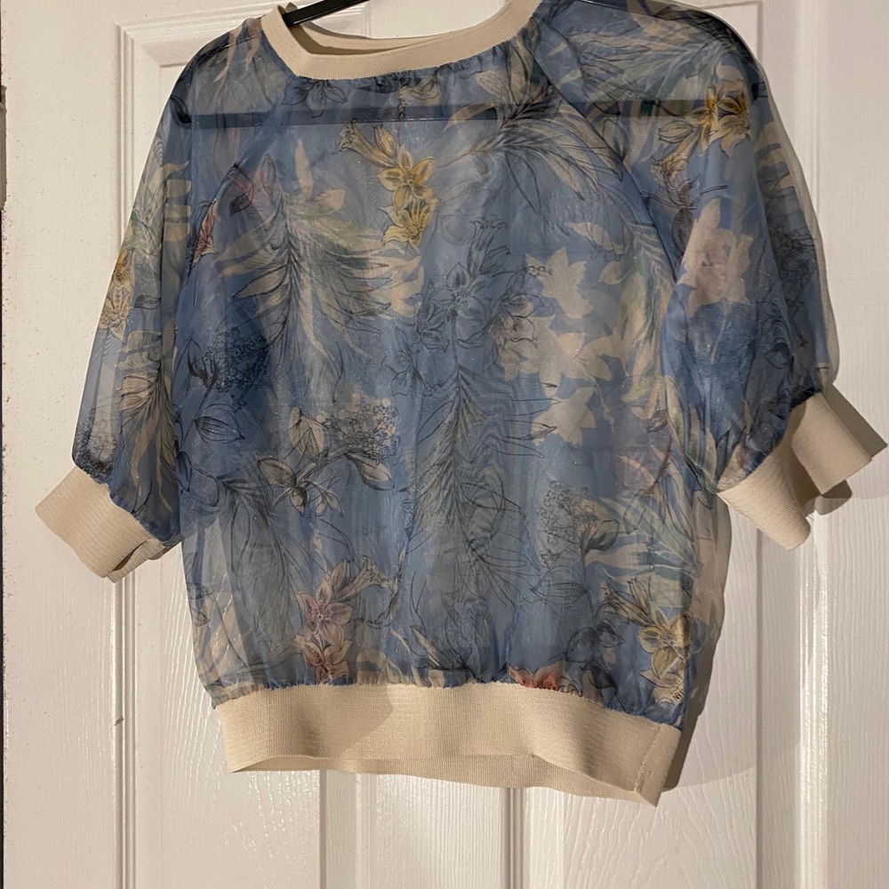 Sheer top